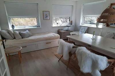 4 Sterne Ferienhaus in Vig