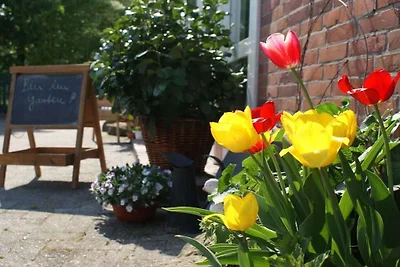 Holiday home relaxing holiday Großefehn
