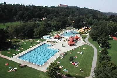 Hütte in Leibnitz mit Schwimmbecken