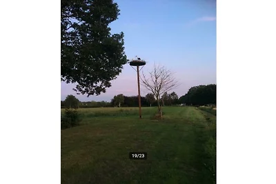 Houten villa Dirk