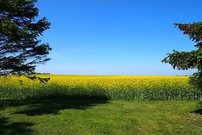 Ferienwohnung mit 2 Schlafzimmer