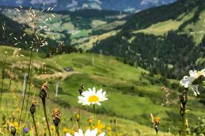 Apartment in den Alpen in der Nähe des Skigeb...