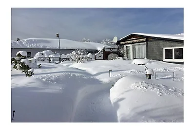 Ferienhaus in Frauenwald mit Barbecue