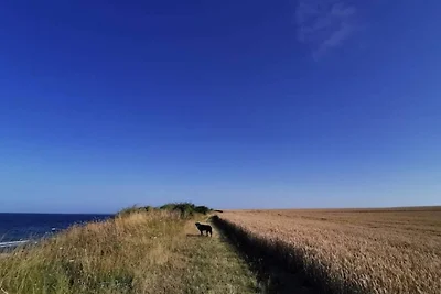 8 Personen Ferienhaus in Store Fuglede-By...