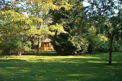 "Sonnenwohnung an der Schlei"