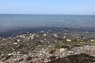 8 persone case ad Tranekær