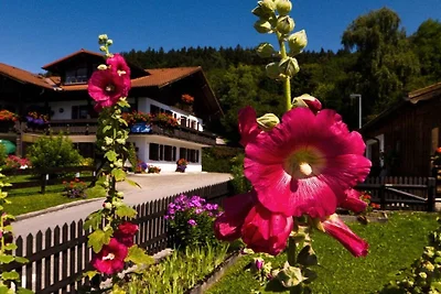 Keller - Bergblick ||
