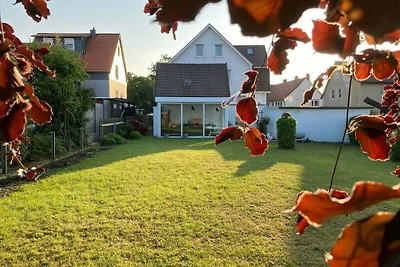 Topgeluk bij de paarse beuk