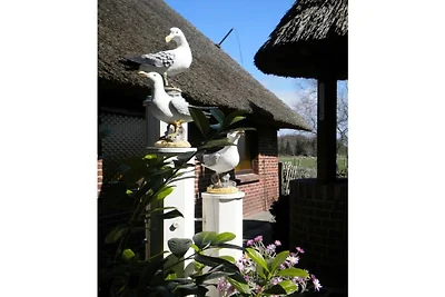 Strandnelke Rifugio moderno