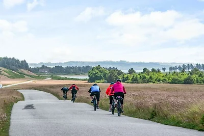 6 Personen Ferienhaus in Thyholm-By Traum