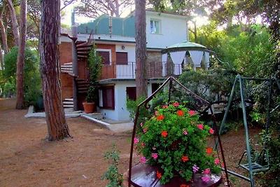 Casa vacanze a Castagneto Carducci