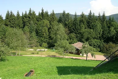 Holzchalet in Ventron nahe Skilift