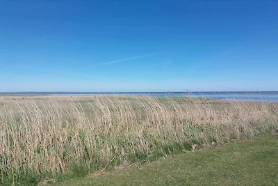 8 Personen Ferienhaus in Ørsted-By Traum