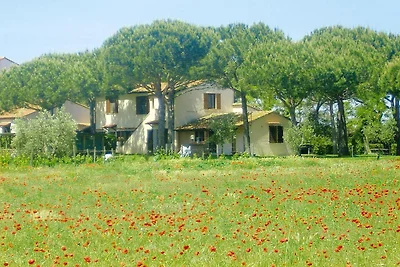 Appartamento vicino spiagge di Grosseto