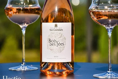 Kleine Bastide | Domaine Tour Campanets