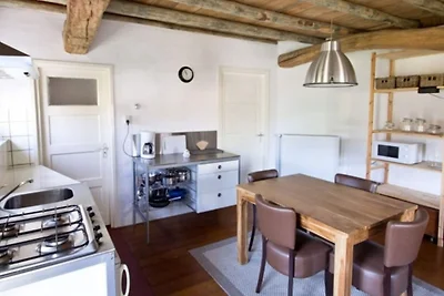 Ferienhaus in Ruinerwold mit Garten