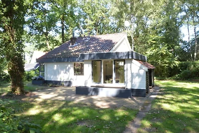 Casa vacanze a Haaksbergen con giardino