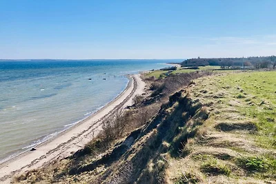 8 Personen Ferienhaus in Roslev-By Traum