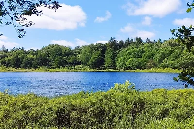 4 Personen Ferienhaus in Aars-By Traum