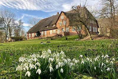 NordseeLütt Komfortable Ferienresidenz