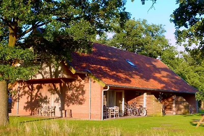 Modernes Ferienhaus in Geesteren mit Terrasse