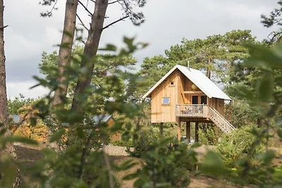 Zwerfhut op hoogte 5