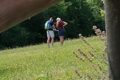 Charmantes Kellerstöckl im Herzen des...