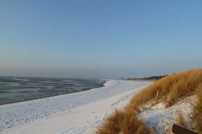 Objekt 38 || Nieblum