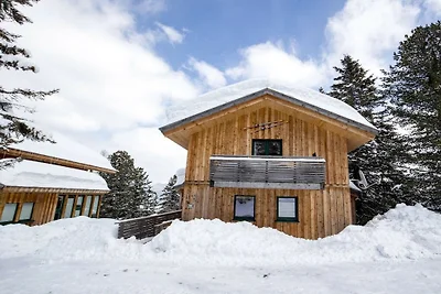Cabane de Turrach avec sauna et Wi-Fi