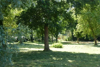 Geräumiges Ferienhaus mit Garten in...