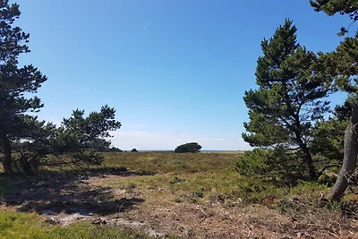 4 person holiday home in Læsø