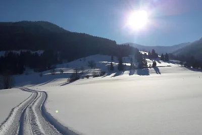 Appartamento a Leogang con piscina