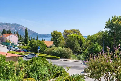 Apartments Djurkovic - Deluxe One-Bedroom Apa...