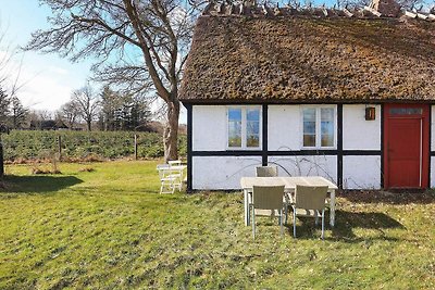 5 Personen Ferienhaus in Præstø-By Traum