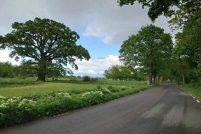 4 Personen Ferienhaus in EVERÖD-By Traum
