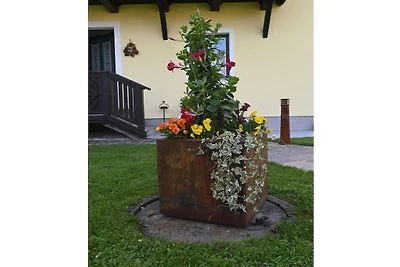Vakantiehuis in Altmünster met barbecue