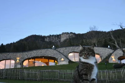 Hut met 1 slaapkamer