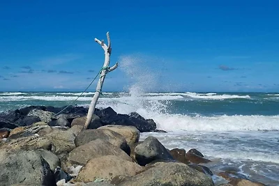 6 Personen Ferienhaus in Skagen-By Traum