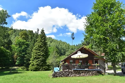 Gemütliches Chalet mit Fluss