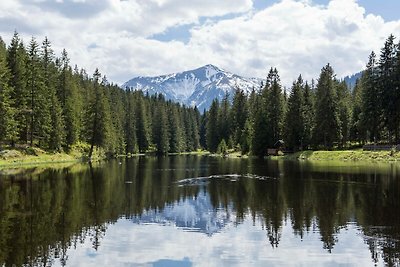 Bellissimo chalet vicino agli impianti di...