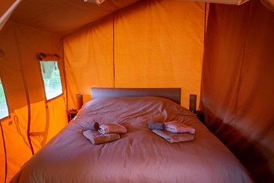 Safari Lodge op gezellig terrein van 3...