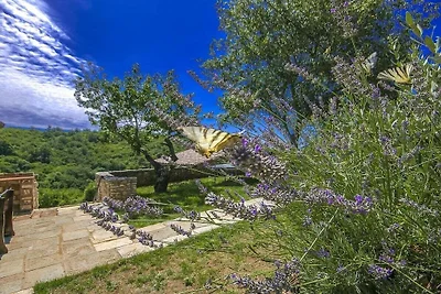 Villa Natura II