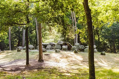 Entspannender Rückzugsort in Drenthe