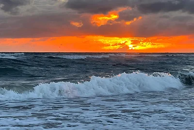 4 persoons vakantie huis in Fanø-By Traum