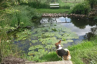 Kustgezicht van Oost-Friesland