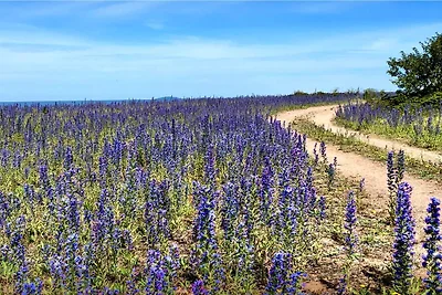 6 Personen Ferienhaus in LÖTTORP