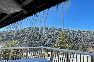 Charmantes, einladendes Ferienhaus in toller...