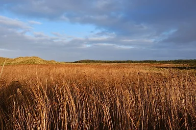 Luxurioses Strandhaus in Blokhus -- By Traum...
