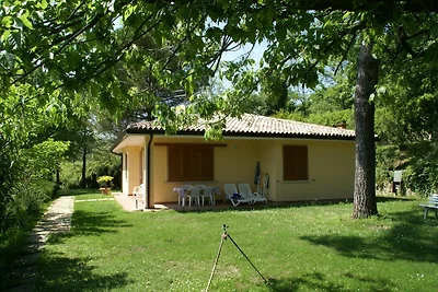 Caratteristico bungalow con piscina a Garda
