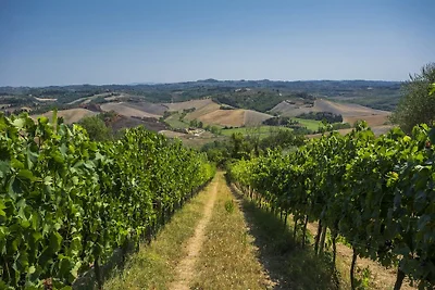 Agriturismo a Castelfiorentino con piscina